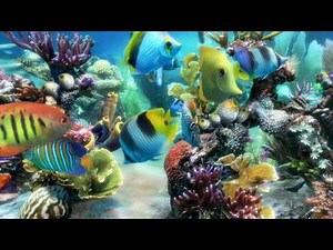 Sim Aquarium scene 3 (4K)
