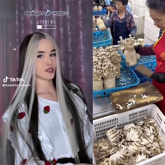 Funny Anime Recommendations for TikTok Lovers