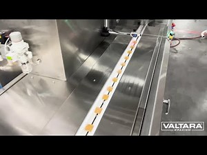 Sleek HSA High Speed Gummy Flow Wrapping System for 300+ Cycles Per Minute