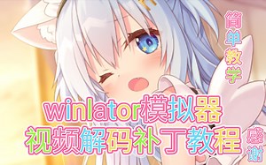 『winlator』安装配置LAV Filters解码器/视频解析补丁使用方法（非常有用！) - 视频下载 Video Downloader