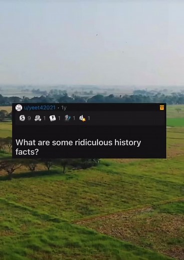 storiesof_reddit on TikTok