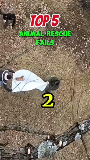 Animal Rescues That Went Completely WRONG 😂🐾