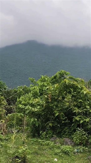Araku in Monsoon Season || Beauty of valleys in rain