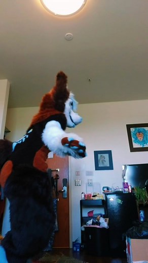 College Roommate Fursuit POV