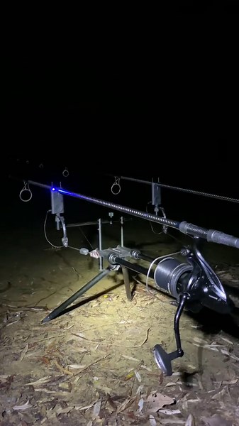 Fishing Tips and Tricks Elevate Your Angling Game