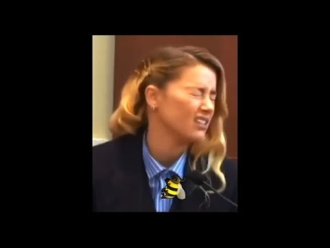 Amber Heard My Dog Stepped On A Bee