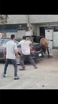 When You Laugh So Hard You Snort… And Then It Gets Worse! 🐷😂#Funny #Fails #Prank #Comedy #Hilarious