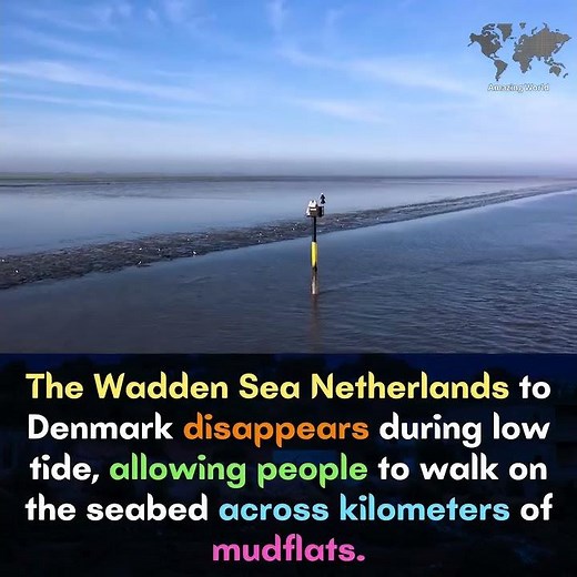 Wadden Sea Miracle: Walk Across the Ocean Floor Between Netherlands & Denmark
