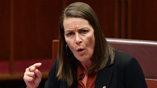 44 reactions · 18 comments | Deputy Nationals Leader Perin Davey says Australia needs to “stop exporting” its “own problems” and look at how to manufacture at home instead. Watch the full episode at www.skynews.com.au/flash | Sky News Australia | Facebook