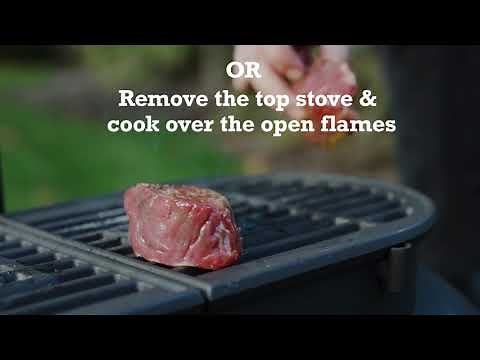 An Introduction to the Ozpig Big Pig