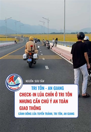 Check-in Lúa Chín Tri Tôn: Cảnh Sát Giao Thông Nhắc Nhở