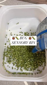 333 reactions · 75 shares | Bug sensory bin that took under 5...
