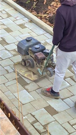 Gas powered Concrete Vibrator