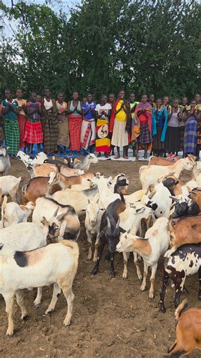 #Goats 🐐 Singing 🎶 Dancing👏 Some of our favourite things courtesy of women who took part in our Livestock for Livelihoods programme in #Uganda 🇺🇬 | Farm Africa