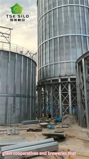 TSE Silo on Site