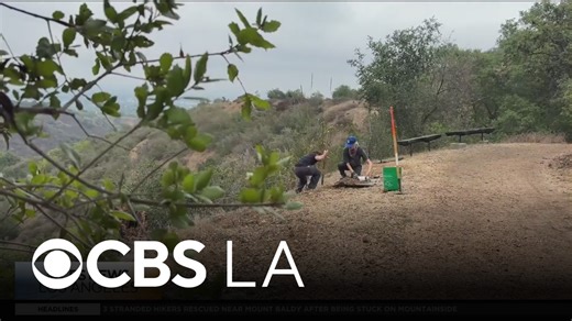 Santa Monica Mountains planting project gives indigenous group a new voice