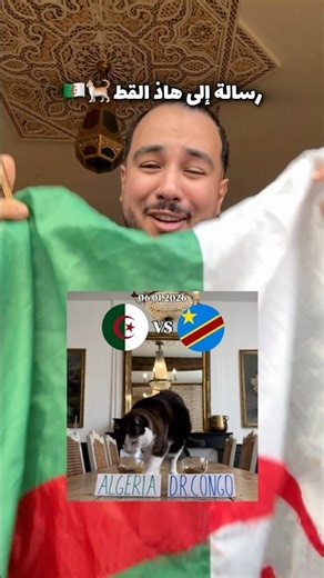 رسالة إلى هاذ القط 🤣🇩🇿🐈 يستاهل بواطة طون من عندي 🤣❤️