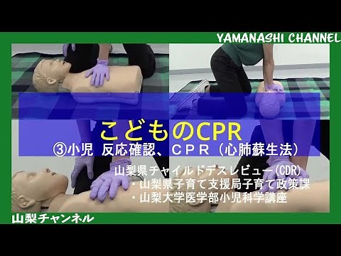 「子どもの命を救う心肺蘇生法」③小児反応確認、CPR（心肺蘇生法）（2分）