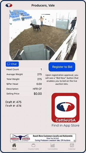 PNW Calves - Selling live at auction today on CattleUSA, Producers Livestock Vale, OR - View / bid live online at CattleUSA.com or on CattleUSA app, available for download in App Store - Follow for more cattle market insights - #cattlemarket #bidatauction #truepricediscovery #oregoncattle #cattleusa | Cattle USA Media | Facebook