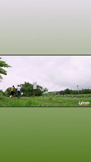 This video highlights potential of fresh fish market in Liberia for investors. Watch now https://youtu.be/PcfwykQeU4I | The Ghanaian Farmer