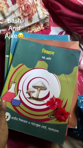 Daily Routine for Sixth Grade Students