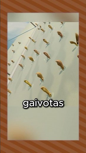 As GAIVOTAS de Procurando Nemo em OUTRAS LÍNGUAS