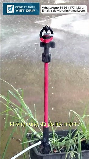 TESTING SPRINKLER WITH 7MM TUBE AND FIBERGLASS STAKE CONNECTION 💧 #irrigationsystem #farmtechnology