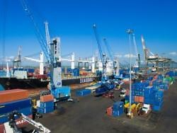 Drastic increase in cargo, schedule disruptions blamed for congestion at Kingston port