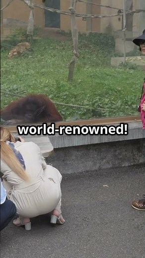 Top 10 Must Visit Spots in Singapore!