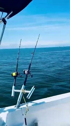 Let’s get it! Trolling for Chesapeake Rock Fish!