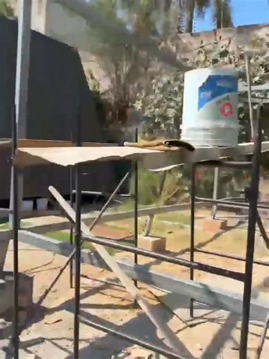 Wir bieten Ihnen moderne Lösungen im Hausbau. Stahlhausbau: extrem stabil, sogar erdbebensicher. Das moderne Massivhaus: flexibel nach Ihren Wünschen. Top Ausstattung und deutlich günstiger als konventionelle Bauweisen. -- Geeignet für Industriegebäude wie Lagerhallen, Werkstätten und Hangar -- Kombinierbar mit vorgefertigten Stahlkonstruktionen -- individuelle Hausplanung -- Konstruktion inkl. Lieferung Aufstellung -- Rohbau (Außen fertig) -- Komplett Innenausbau (Schlüsselfertig)�inkl. PV 5KW/