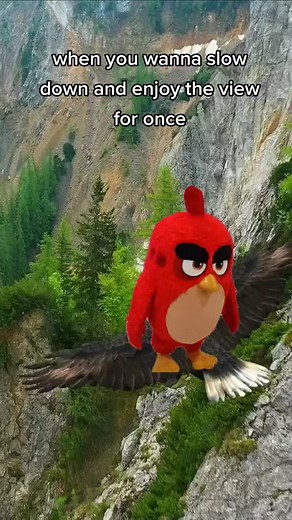 Angry Birds Ice Cream Catapult Fail