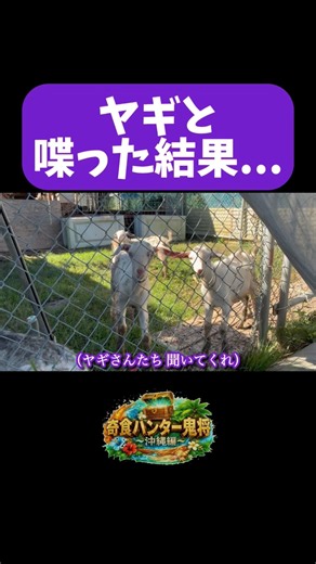Goat Soup