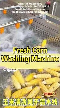 Fresh Corn Water Washing Machine-How to Clean Corn Cob