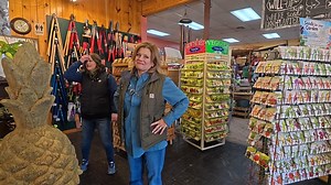 Using All Our Dried Statice in a Display at the Garden Center! 🥰🙌💚 | Garden Answer