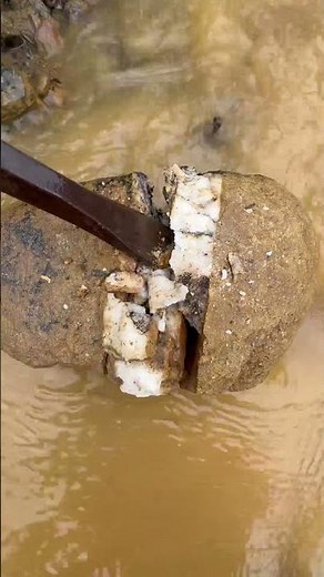 gold prospecting for beginner ✅🧽