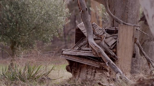 An Invitation to Ruin Trailer