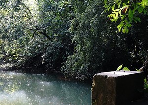 Would you explore the abandoned Keppel Hill Reservoir?
