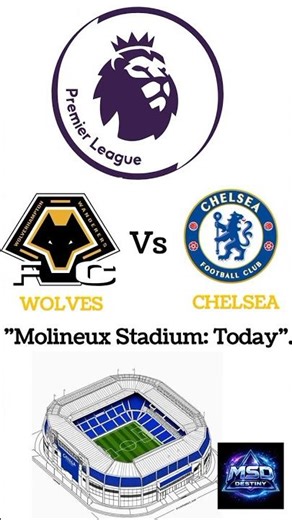 Wolves Vs Chelsea 1 - 3 - Highlights & Goals - Cole Palmer Hattrick #football #shots #viralshort