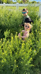 71K views · 10K reactions | Kids who would rather pull weed than make brownies?! 路‍♀️ (brownies are currently in the oven. ) | Garden Answer | Facebook