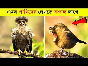 Top 10 Rarest Birds in the World | বিশ্বের 10 টি সবচেয়ে রহস্যময় পাখি