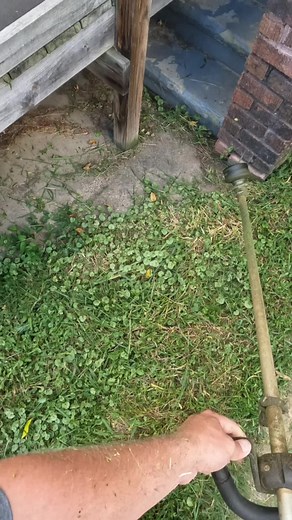 Clearing Overgrown Grass with a String Trimmer