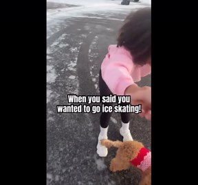 Ice Skating Fail with Dog!
