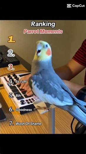 ranking parrot moments. #roblox #animals