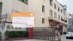 Stylish Summer Luxury Lady Pumps Custom Pointed High Heel Sandals with Rubber Insole Latest Fashion Sexy Style Leather Lining