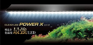 【最新LEDテクノロジー採用】GEXクリアLED POWER X 600 明るさ1,400lm、色温度11,000K、超薄型アルミボディ、幅60cm水槽に最適！ - ひろきの素敵な日々… blog