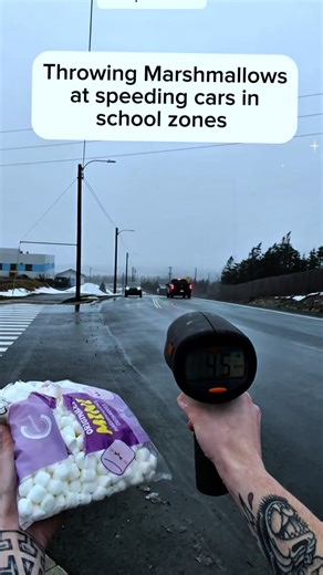 Throwing Robin Hood Flower at Speeding Cars: A Shocking Act