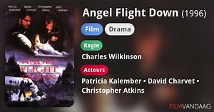 Angel Flight Down (1996)