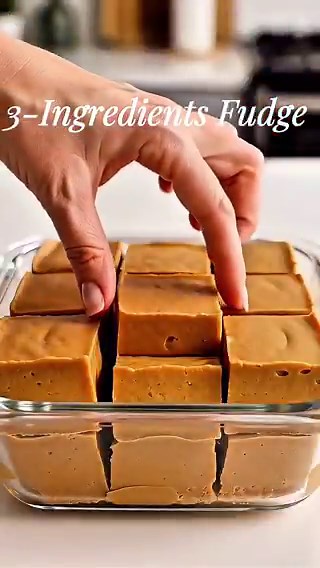 High-Protein Peanut Butter Fudge 😋