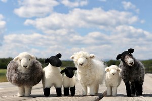 Sheep Needle Felting Pattern - Sheep Breeds - White Sheep - Easter Needle -easter Sheep DIY Felting - Herdwick - Gotland – PDF Pattern - Etsy Canada